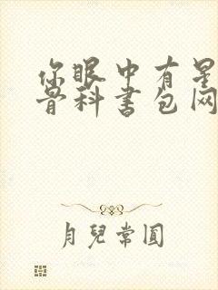 你眼中有星辰h骨科书包网