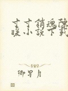 寸寸销魂陈聪王暖小说下载