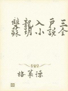 双龙入户三人行苏玥小说全文阅读