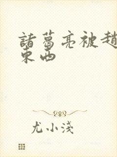 诸葛亮被赵云塞东西