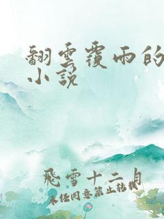 翻云覆雨的秘密小说