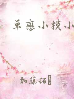 单恋小模小样