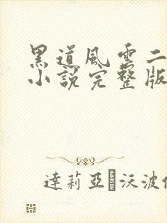 黑道风云二十年小说完整版