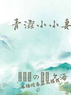 青涩小小妻