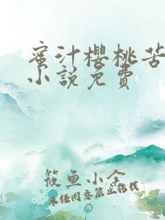 蜜汁樱桃苦咖啡小说免费