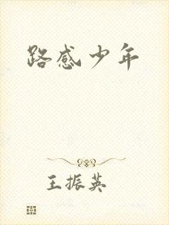 路感少年