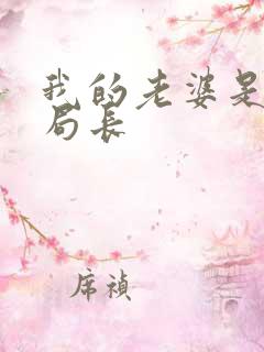 我的老婆是警察局长