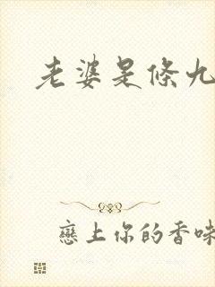 老婆是条九尾狐