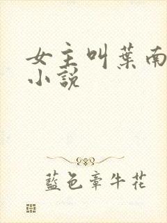 女主叫叶南初的小说