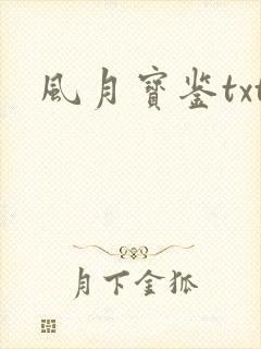 风月宝鉴txt