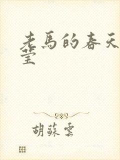 老马的春天王雪莹