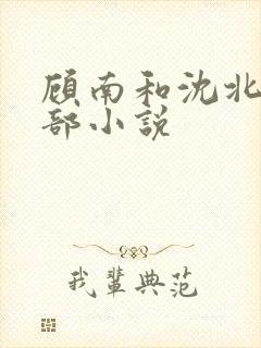 顾南和沈北是哪部小说