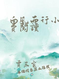 向风而行小说免费阅读