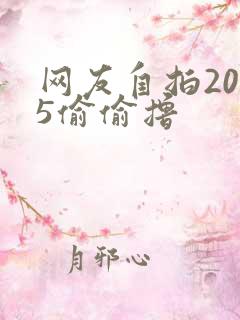 网友自拍2015偷偷撸