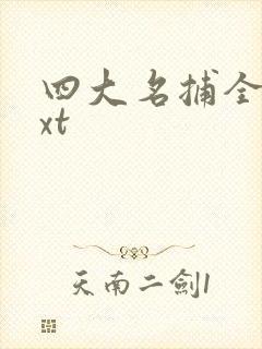 四大名捕全集txt