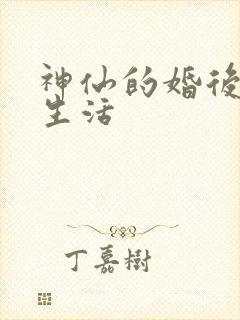 神仙的婚后都市生活