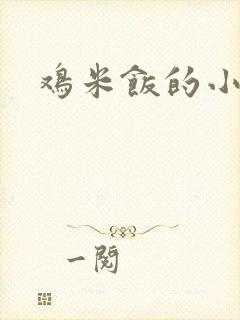 鸡米饭的小说