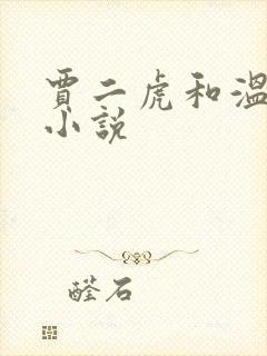 贾二虎和温如意小说