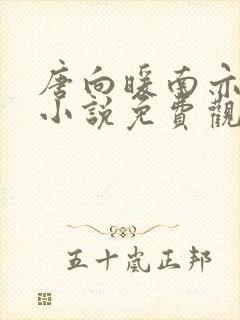 唐向暖南亦琛的小说免费观看