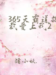 365天霸道总裁爱上我2
