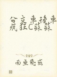 公交车后车座的疯狂C苏苏