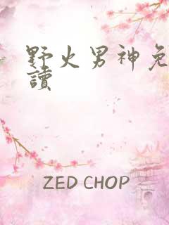 野火男神免费阅读