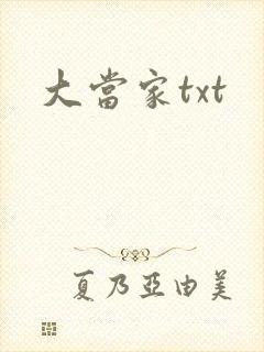 大当家txt