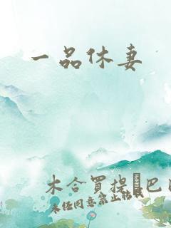 一品休妻