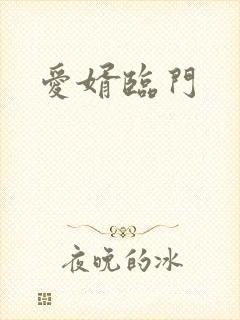 爱婿临门