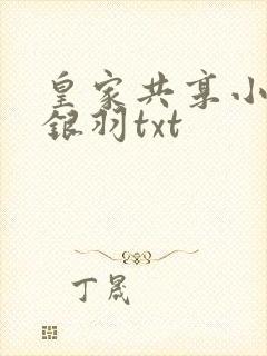 皇家共享小公主银羽txt
