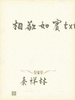 相敬如宾txt