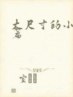 大尺寸的小说短篇