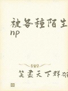 被各种陌生人 np