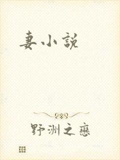妻小说