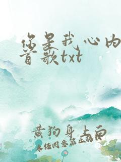 你是我心内的一首歌txt