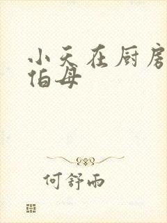 小天在厨房插杨伯母