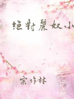 绝对丽奴小说