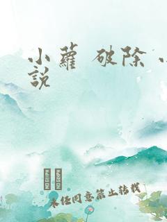 小萝 破除 小说