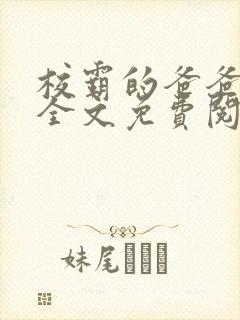 校霸的爸爸小说全文免费阅读