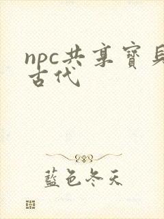 npc共享宝贝古代