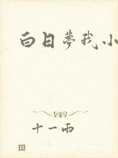 白日梦我小说