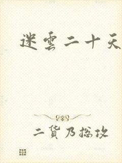 迷云二十天