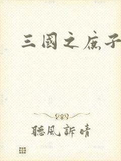 三国之庶子称雄