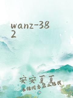 wanz-382