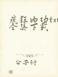 疯狂内功txt全集下载
