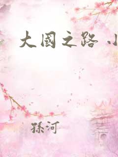 大国之路 小说