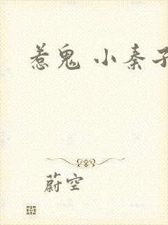 惹鬼 小秦子