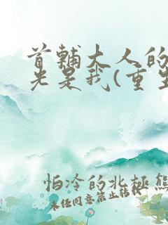 首辅大人的白月光是我(重生)