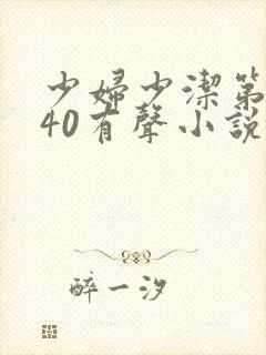 少妇少洁第1一40有声小说