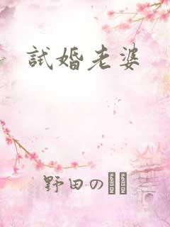 试婚老婆